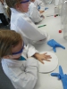 Chemikum 2013